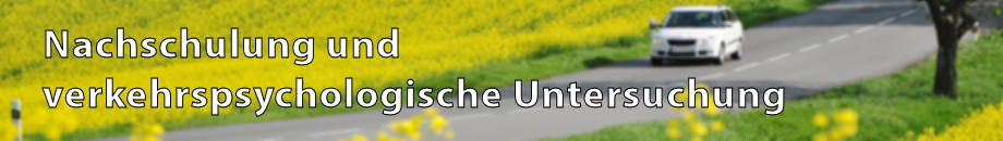 Nachschulung und verkehrspsychologische Untersuchung